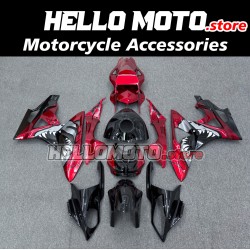 BMW S1000RR 2009-2014 Fairing P/N 5A8