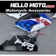BMW S1000RR 2015-2016 Fairing P/N 5B21 BMW S1000RR 2015-2016 Fairing P/N 5B21