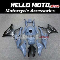 BMW S1000RR/M1000RR 2019-2022 Fairing P/N 5D9