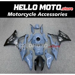 BMW S1000RR/M1000RR 2019-2022 Fairing P/N 5D9