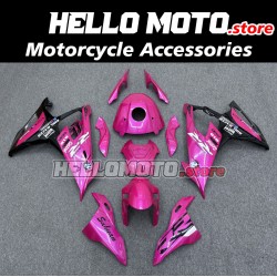 BMW S1000RR/M1000RR 2019-2022 Fairing P/N 5D40