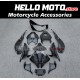 BMW S1000RR 2025-2026 Fairing P/N 5H1