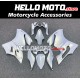 Ducati Superbike 899/1199 2012-2014 Fairing P/N 6E11 Ducati Superbike 899/1199 2012-2014 Fairing P/N 6E11