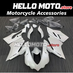 Ducati Superbike 959/1299 2015-2018 Fairing P/N 6F1