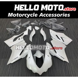 Ducati Superbike 959/1299 2015-2018 Fairing P/N 6F1