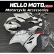 Ducati Superbike 959/1299 2015-2018 Fairing P/N 6F1 Ducati Superbike 959/1299 2015-2018 Fairing P/N 6F1
