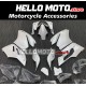 Ducati Superbike 959/1299 2015-2018 Fairing P/N 6F1 Ducati Superbike 959/1299 2015-2018 Fairing P/N 6F1