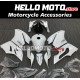 Ducati Superbike 959/1299 2015-2018 Fairing P/N 6F4