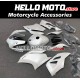Ducati Superbike 959/1299 2015-2018 Fairing P/N 6F4