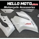 Ducati Superbike 959/1299 2015-2018 Fairing P/N 6F4