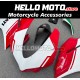 Ducati Superbike 959/1299 2015-2018 Fairing P/N 6F9 Ducati Superbike 959/1299 2015-2018 Fairing P/N 6F9