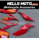 Ducati Superbike 959/1299 2015-2018 Fairing P/N 6F12