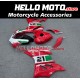 Ducati Superbike 959/1299 2015-2018 Fairing P/N 6F13