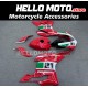 Ducati Superbike 959/1299 2015-2018 Fairing P/N 6F13