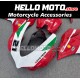 Ducati Superbike 959/1299 2015-2018 Fairing P/N 6F13