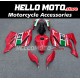 Ducati Superbike 959/1299 2015-2018 Fairing P/N 6F13