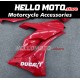 Ducati SuperSport 939 2017-2020 Fairing P/N 6L2