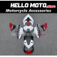 Ducati Streetfighter V4 2020-2024 Fairing P/N 6P1