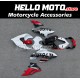 Ducati Streetfighter V4 2020-2024 Fairing P/N 6P1