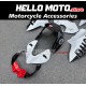 Ducati Streetfighter V4 2020-2024 Fairing P/N 6P1