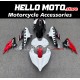 Ducati Streetfighter V4 2020-2024 Fairing P/N 6P1