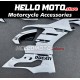 Ducati Panigale V2 2020-2025 Fairing P/N 6G4