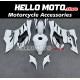 Ducati Panigale V2 2020-2025 Fairing P/N 6G4