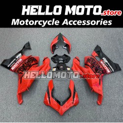 Ducati Panigale V4/S/SP/R 2020-2022 Fairing P/N 6K1
