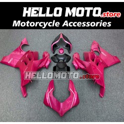 Ducati Panigale V4/S/SP/R 2020-2022 Fairing P/N 6K13