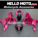 Ducati Panigale V4/S/SP/R 2020-2022 Fairing P/N 6K13