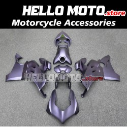 Ducati Panigale V4/S/SP/R 2020-2022 Fairing P/N 6K11