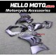 Ducati Panigale V4/S/SP/R 2020-2022 Fairing P/N 6K11