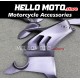 Ducati Panigale V4/S/SP/R 2020-2022 Fairing P/N 6K11