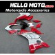 Ducati Panigale V4/S/SP/R 2020-2022 Fairing P/N 6K25