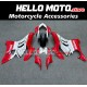 Ducati Panigale V4/S/SP/R 2020-2022 Fairing P/N 6K25