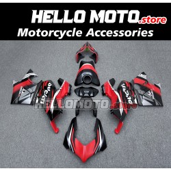 Ducati Panigale V4/SP2 2023-2025 Fairing P/N 6N4