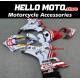 Ducati Panigale V4/SP2 2023-2024 Fairing P/N 6N5