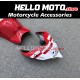 Ducati Panigale V4/SP2 2023-2024 Fairing P/N 6N5