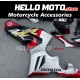 Honda CBR 1000RR-R 2020-2023 Fairing P/N 1K13