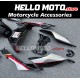 Honda CBR 1000RR-R 2020-2023 Fairing P/N 1K13