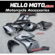 Honda CBR 1000RR 2004-2005 Fairing P/N 1F59