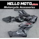 Honda CBR 1000RR 2004-2005 Fairing P/N 1F60