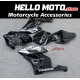 Honda CBR 1000RR 2004-2005 Fairing P/N 1F62