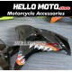Honda CBR 1000RR 2006-2007 Fairing P/N 1G9 Honda CBR 1000RR 2006-2007 Fairing P/N 1G9