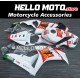 Honda CBR 1000RR 2006-2007 Fairing P/N 1G16 Honda CBR 1000RR 2006-2007 Fairing P/N 1G16
