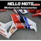Honda CBR 1000RR 2006-2007 Fairing P/N 1G37 Honda CBR 1000RR 2006-2007 Fairing P/N 1G37