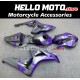 Honda CBR 1000RR 2006-2007 Fairing P/N 1G41 Honda CBR 1000RR 2006-2007 Fairing P/N 1G41