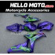 Honda CBR 1000RR 2006-2007 Fairing P/N 1G78