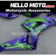 Honda CBR 1000RR 2006-2007 Fairing P/N 1G78