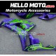 Honda CBR 1000RR 2006-2007 Fairing P/N 1G78
